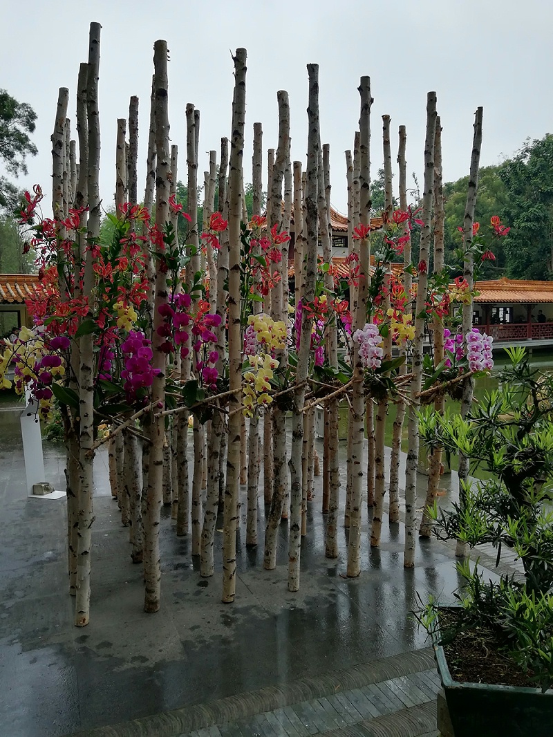 QQ圖片20190404144352