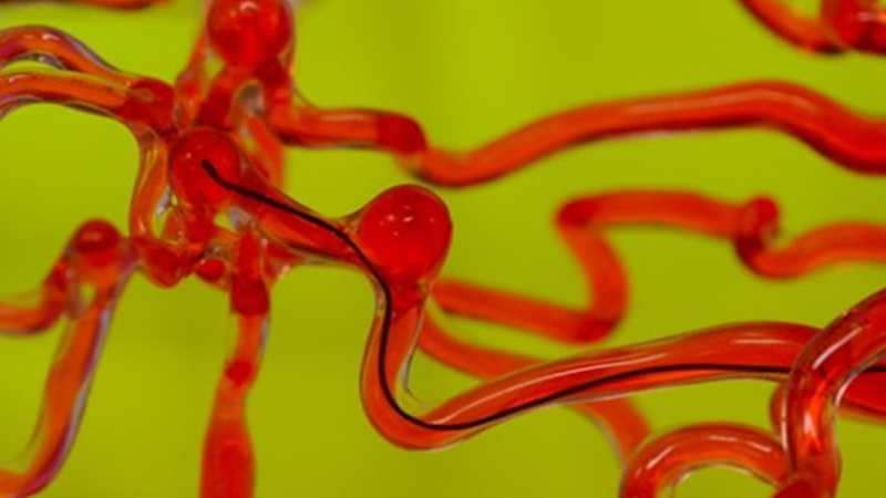 麻省理工開發磁控線性機器人